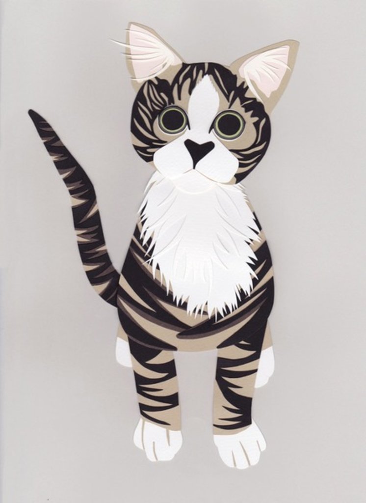 Detail of Pussycat, 2016 by Isobel Barber