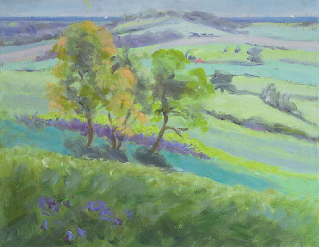 Detail of Towards Winchelsea, Sussex, with Bluebells in Spring by Anne Durham