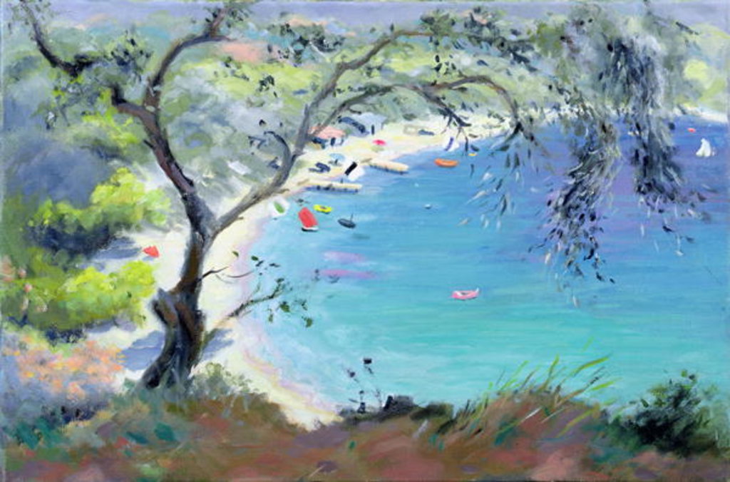 Detail of Lichnos Bay, Epirus, Greece, 1995 by Anne Durham