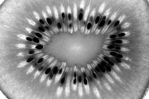 Detail of Kiwi, 2009 by Anonymous