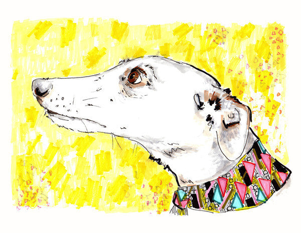 Detail of Silvertips The Greyhound, 2012 by Jo Chambers