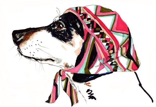 Detail of Pooch In Pucci, 2012 by Jo Chambers