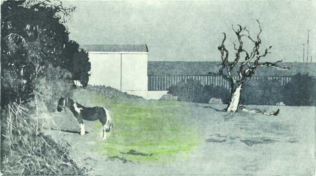 Detail of Facing new growth, 2016 by Catherine Sutcliffe-Fuller