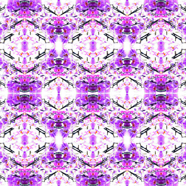 Detail of Orchid Repeat, 2015 by Robyn Parker