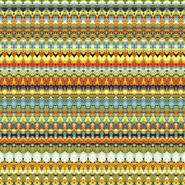 Detail of Tribal Stripe 2 by Robyn Parker