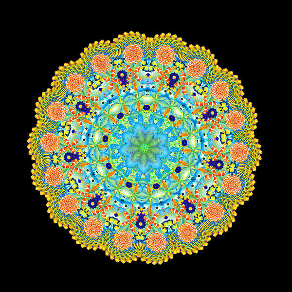 Detail of Tropical Fish Wheel, 2016 by Robyn Parker