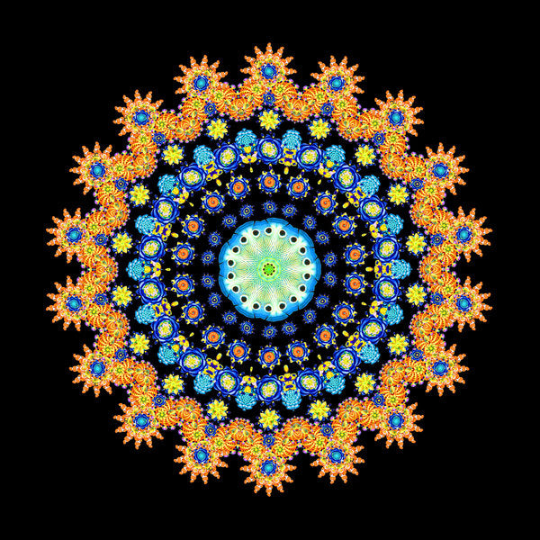 Detail of Tropical Fish Wheel 2, 2016 by Robyn Parker