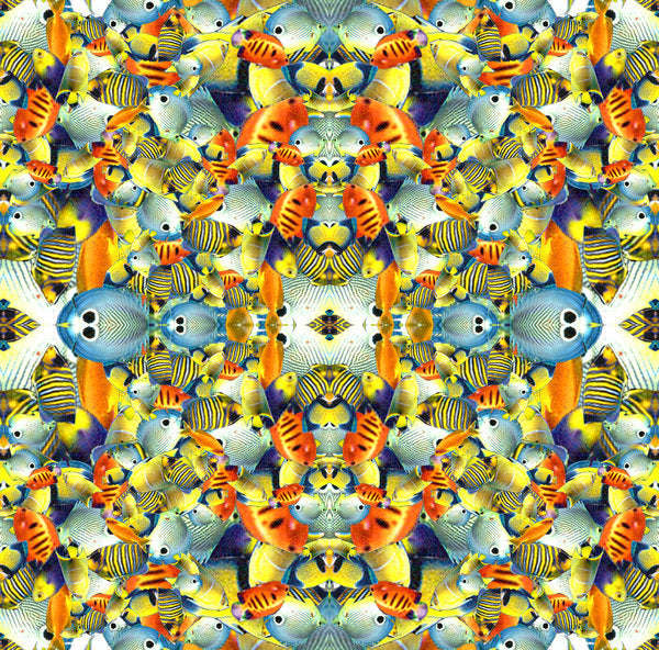 Detail of Kaleidoscope Fish Tile, 2016 by Robyn Parker