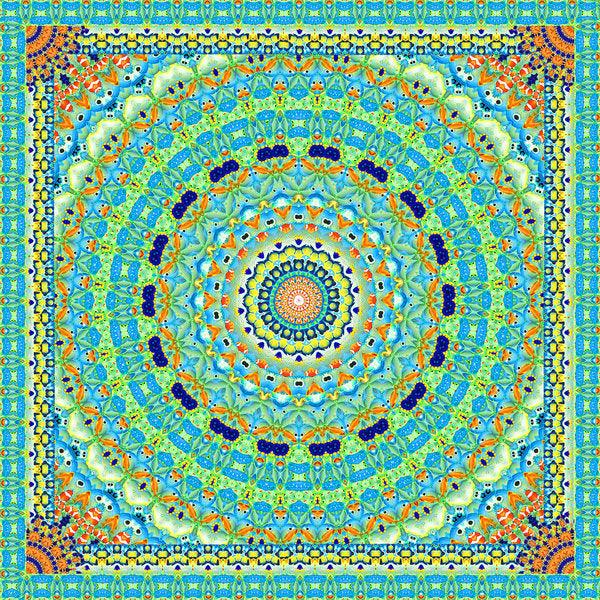 Detail of Tropical Fish Wheel Tile, 2016 by Robyn Parker