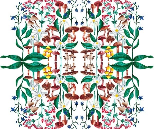 Detail of Wild Plants, 2015 acrylic by Charlotte Orr