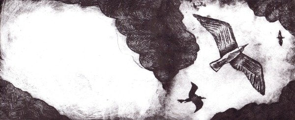 Detail of The Seagull's Tale, 2012 by Charlotte Orr