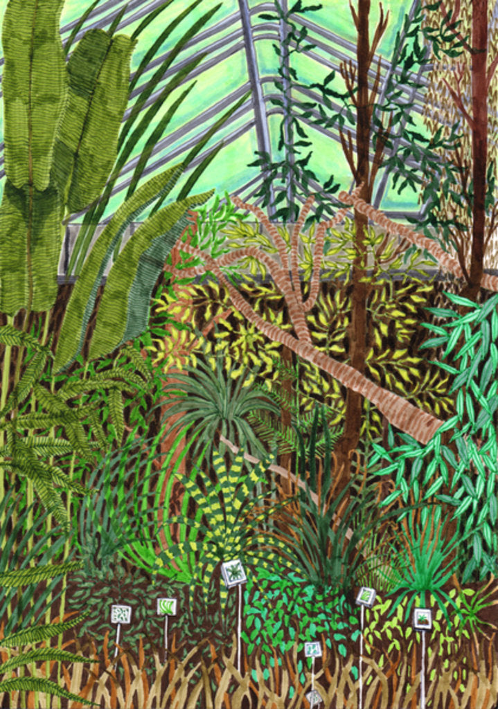 Detail of Botanic Garden, 2017 by Charlotte Orr