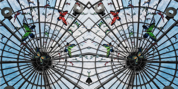 Detail of Butterfly cage, 2014 by Ant Smith