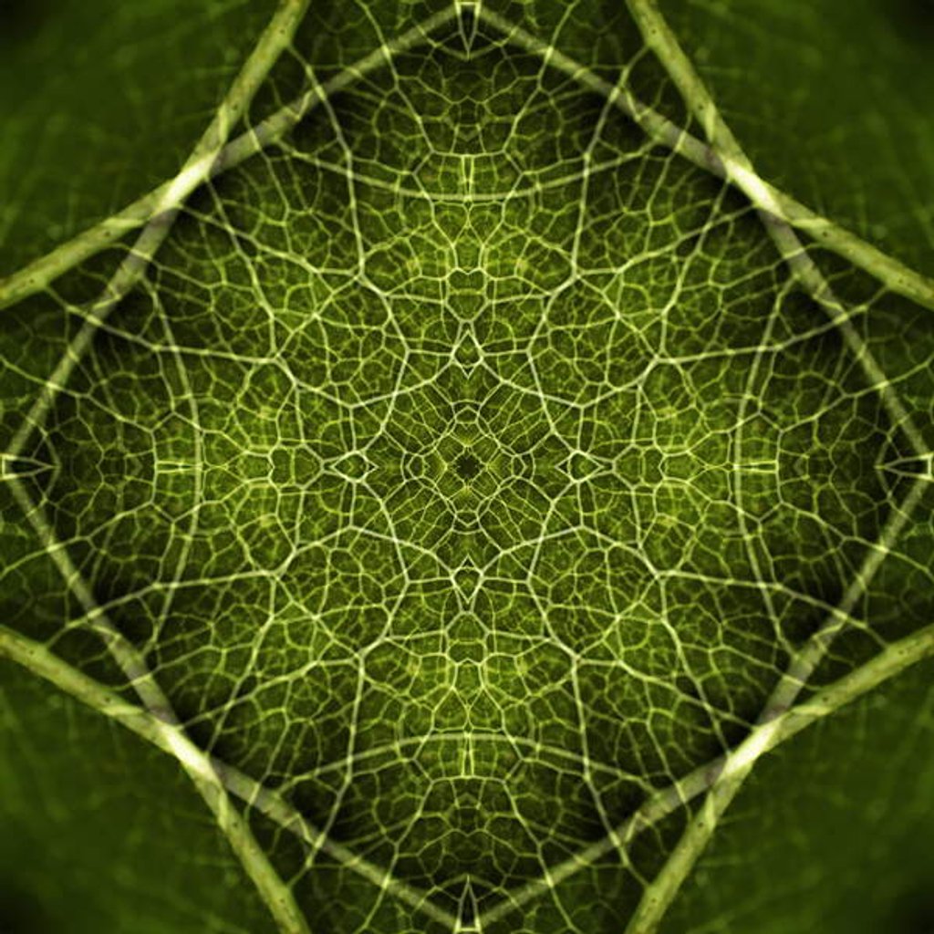 Detail of Patterns of Life, 2016 by Ant Smith