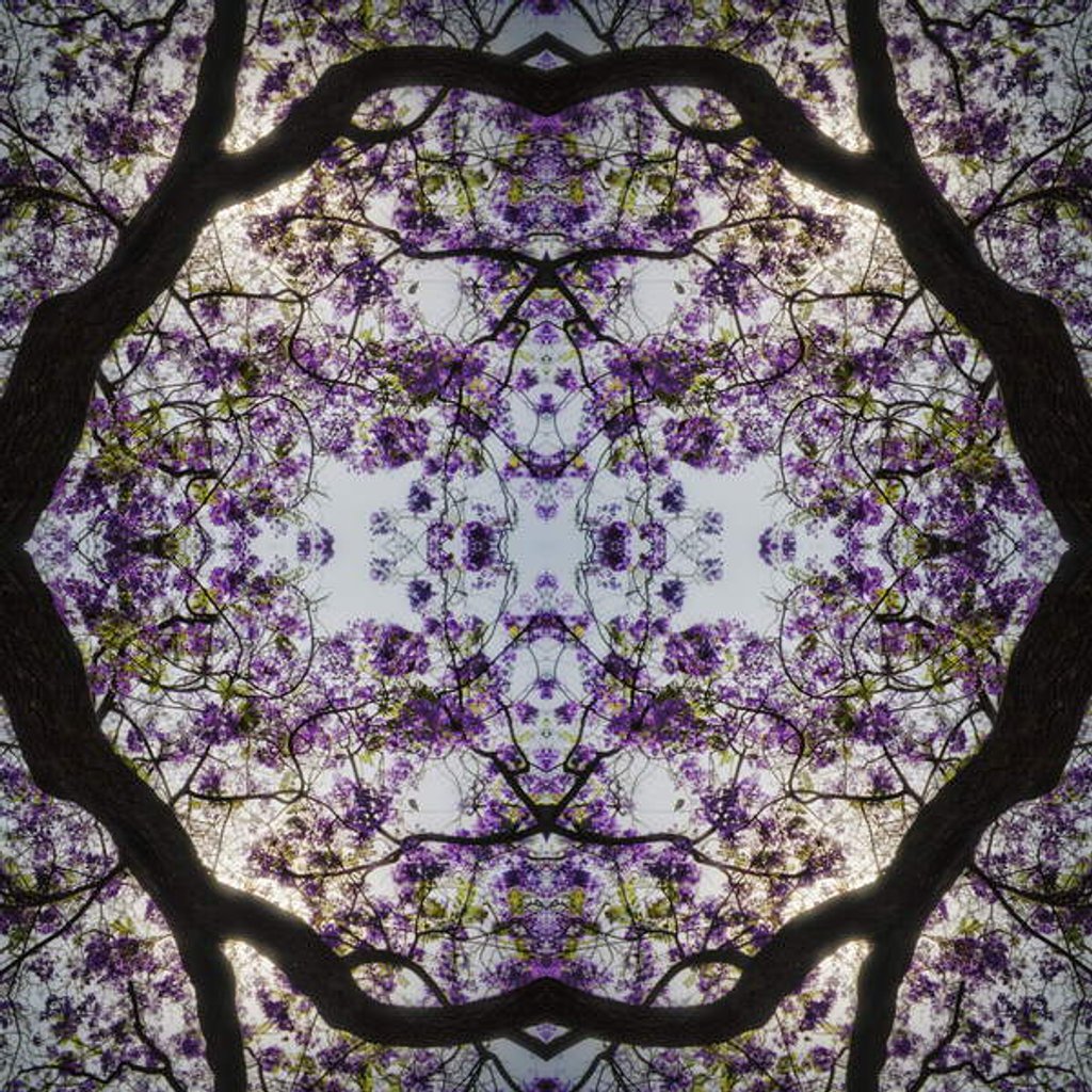 Detail of Lilac Tree, 2015 by Ant Smith