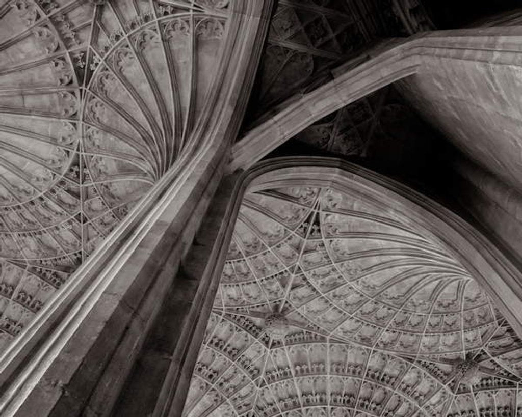 Detail of Vaulted Ceiling, 2020, by Ant Smith