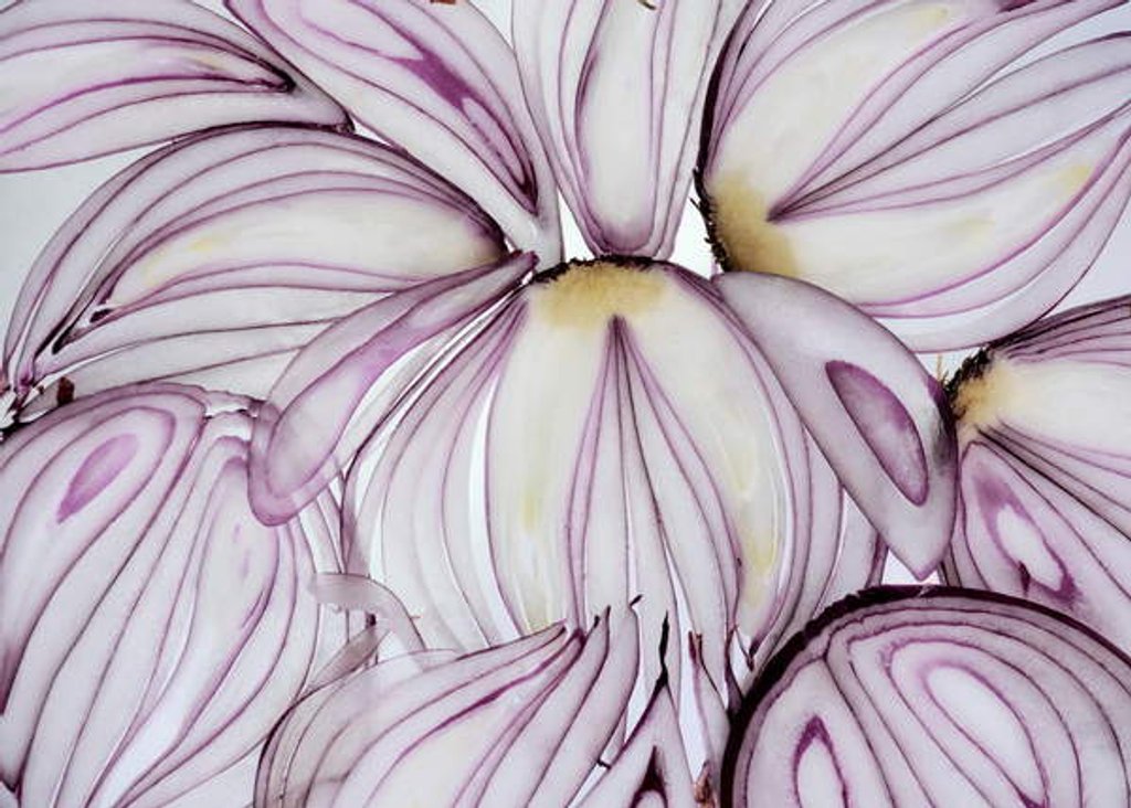 Detail of Red Onion Slices, 2020 by Ant Smith