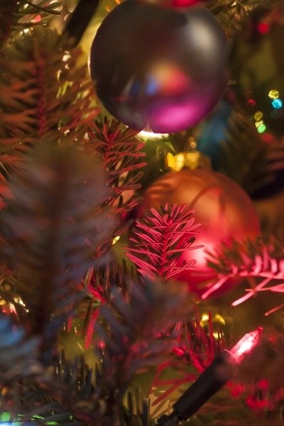 Detail of Silent Night by K.B. White