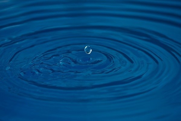 Detail of Disturbance by K.B. White