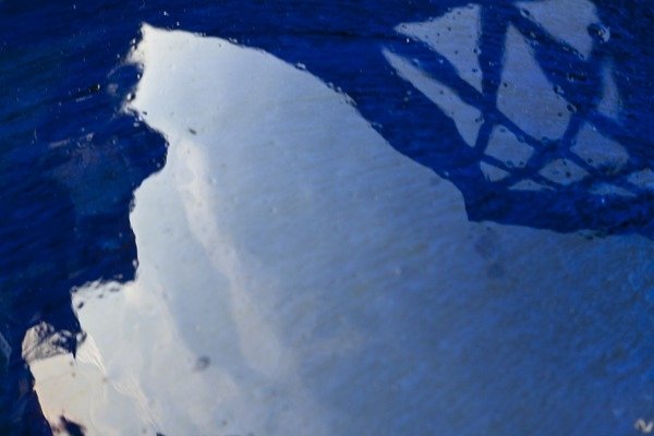 Detail of Reflection by K.B. White