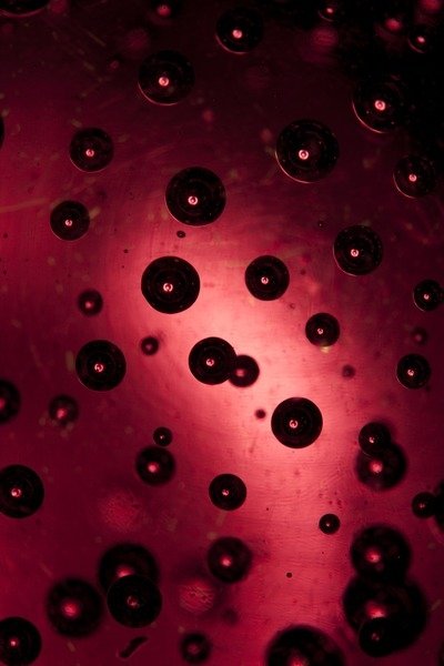 Detail of Drops by K.B. White