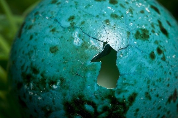 Detail of Broken Out by K.B. White