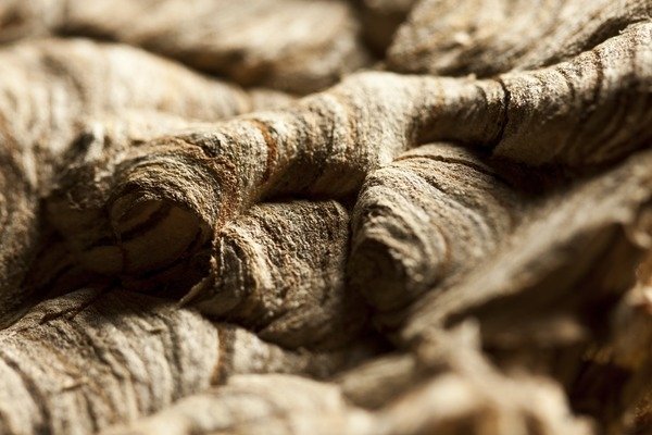 Detail of Wasp Nest II by K.B. White