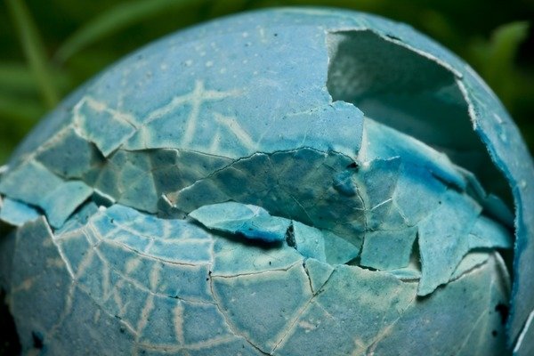 Detail of Dinosaur Egg by K.B. White