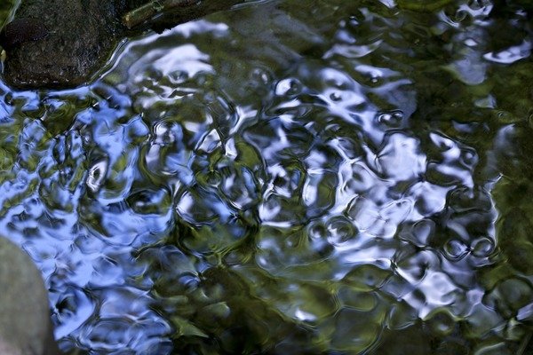 Detail of Liquid by K.B. White