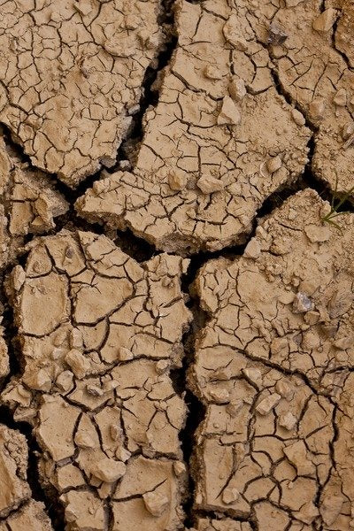 Detail of Dry II by K.B. White