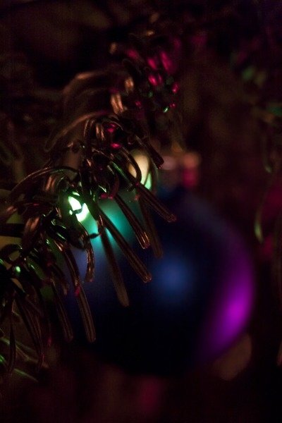 Detail of Hidden by K.B. White