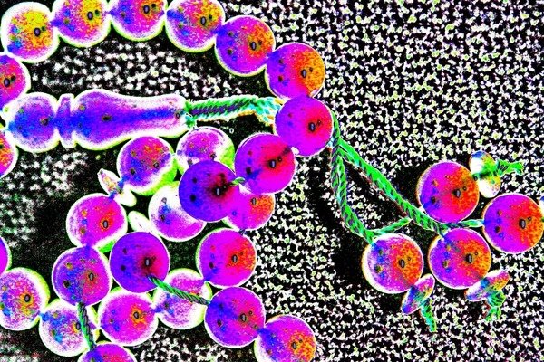 Detail of Prayer Beads by Joy Lions