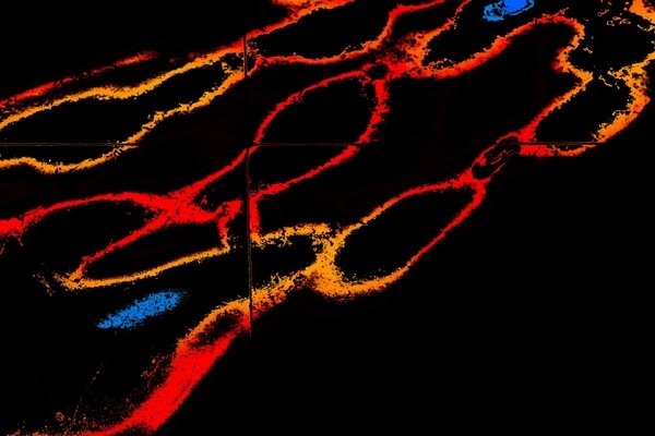 Detail of The Faithful, in Shadows by Joy Lions