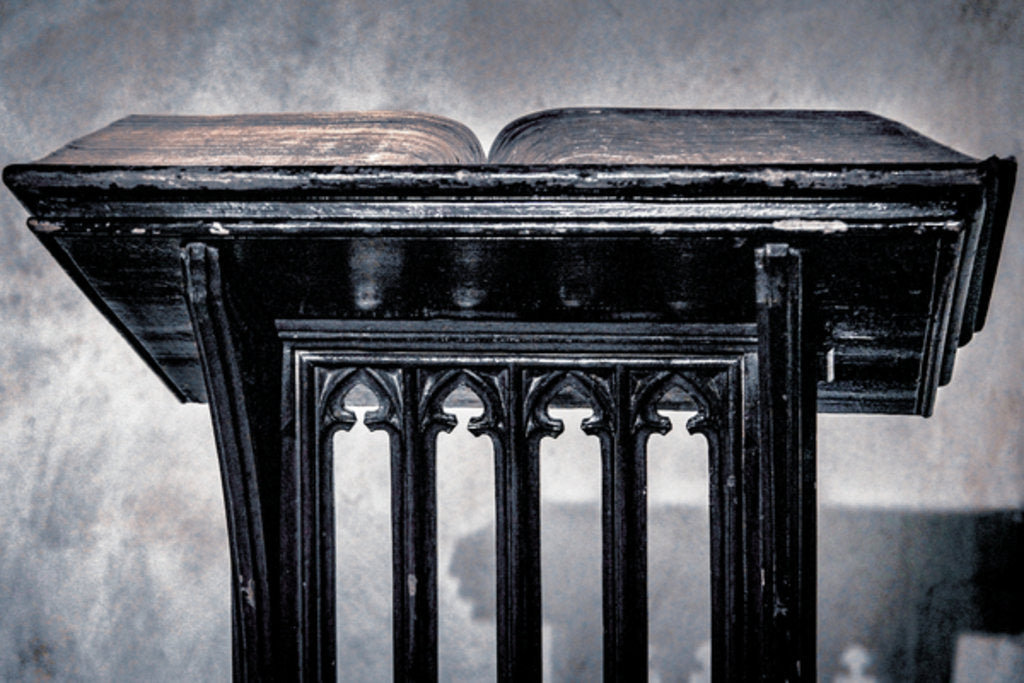 Detail of Passage from The Book of Kings by Joy Lions