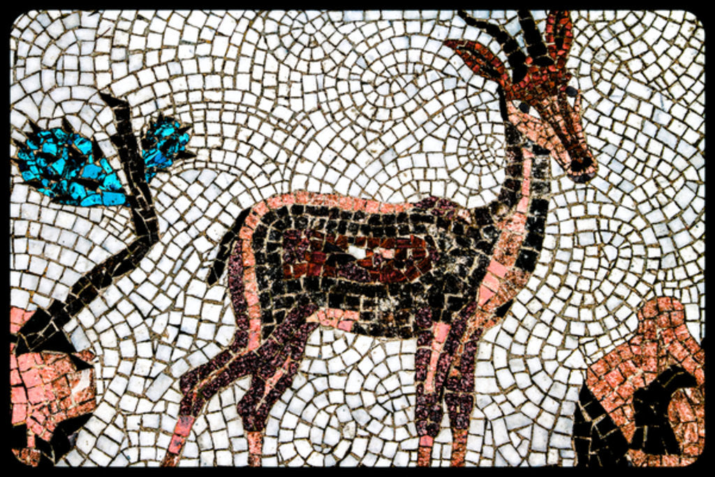 Detail of Naftali by Joy Lions