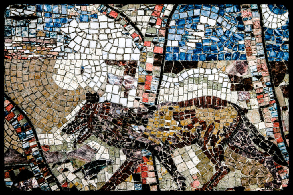 Detail of from the series, Twelve Tribes of Israel, 2017 by Joy Lions