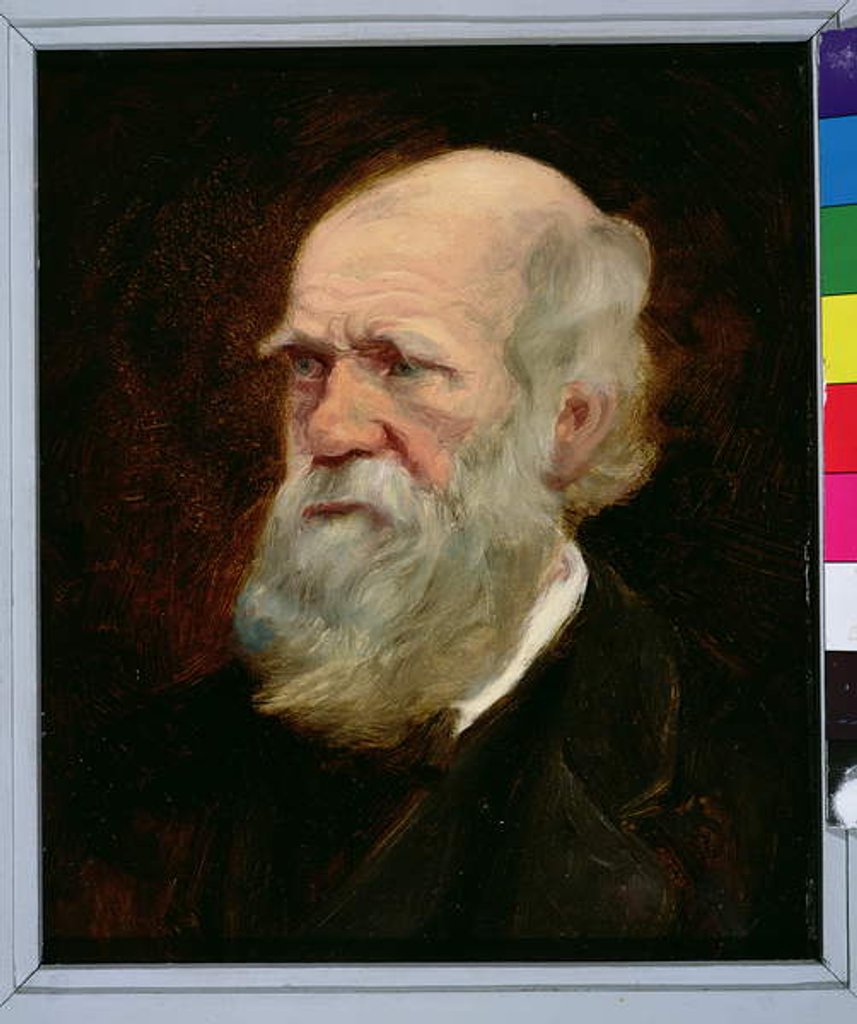 Detail of Portrait of Charles Robert Darwin English naturalist by English School
