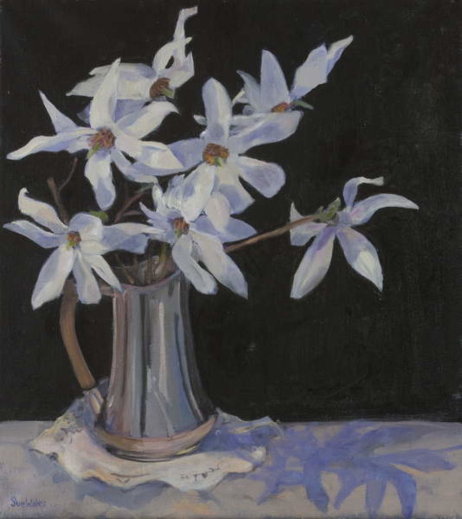 Detail of White Magnolias in Silver Jug, 2019 by Sue Wales