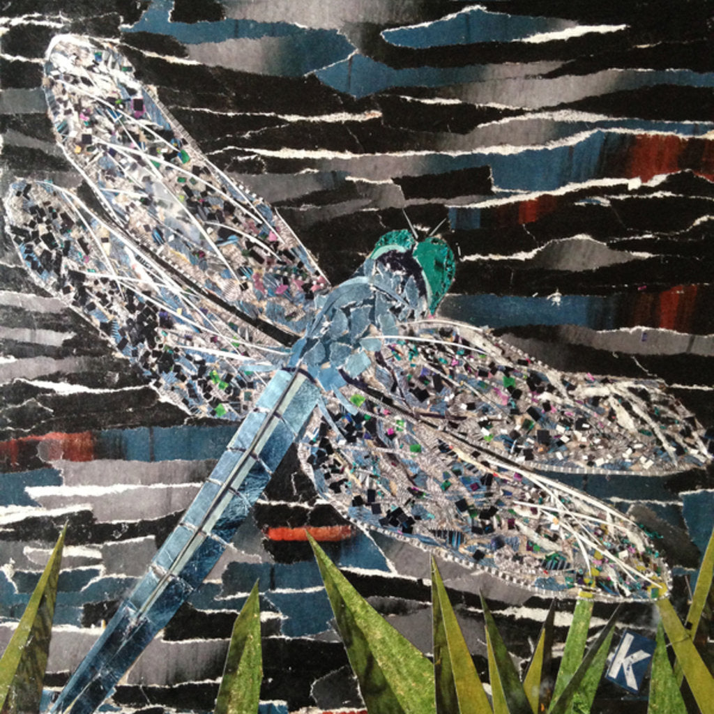 Detail of Dart - Emperor Dragonfly At Riverside, 2016 by Kirstie Adamson