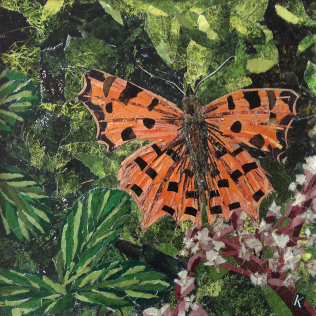 Detail of Flutter - Comma Butterfly On Japonica, 2016 by Kirstie Adamson