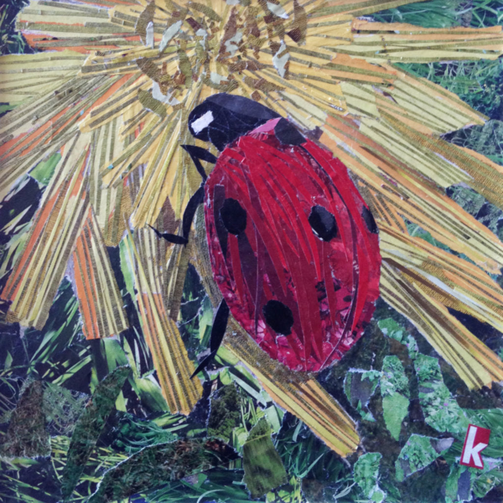 Detail of Rise Ladybird On Chrysanthemum, 2016 by Kirstie Adamson
