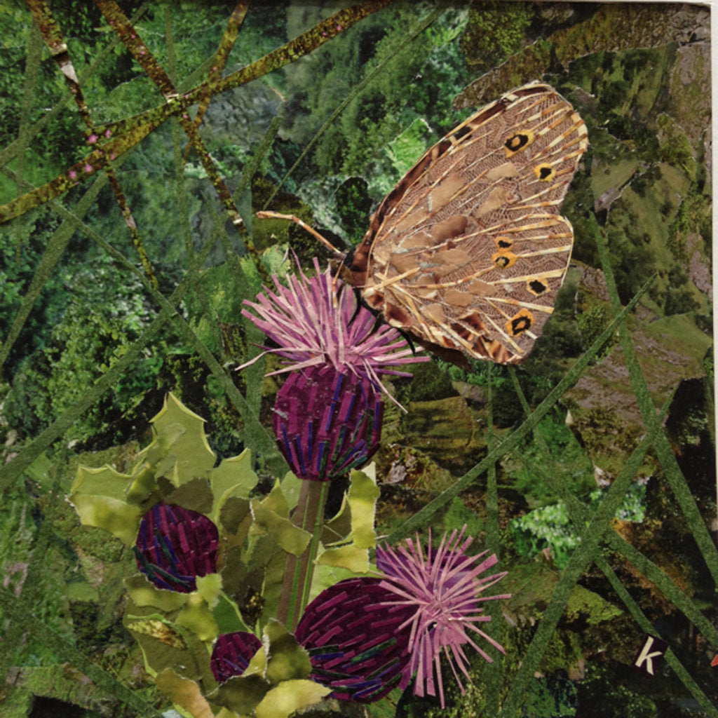Detail of Flit - Satyr Butterfly On Thistle, 2016 by Kirstie Adamson