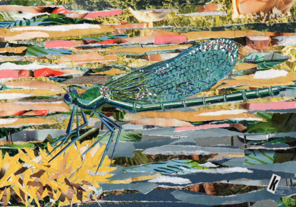 Detail of Green Dragonfly, 2017 by Kirstie Adamson