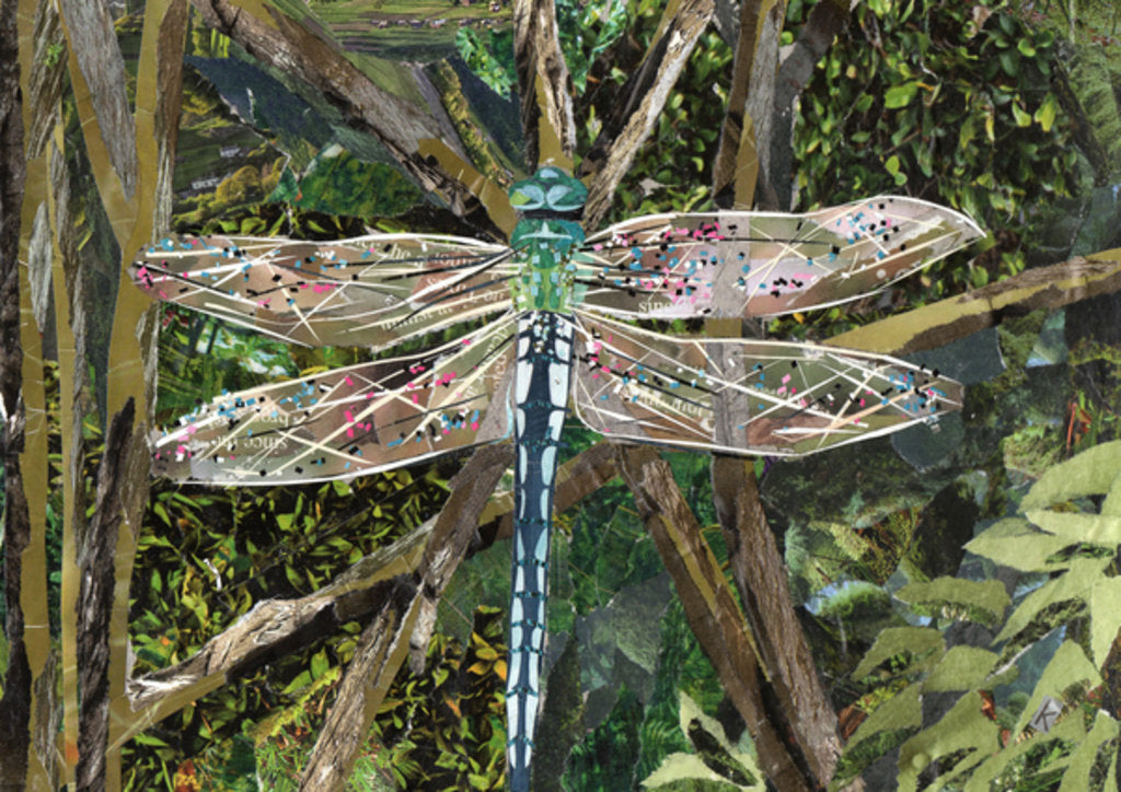 Detail of Turquoise Dragonfly, 2017 by Kirstie Adamson