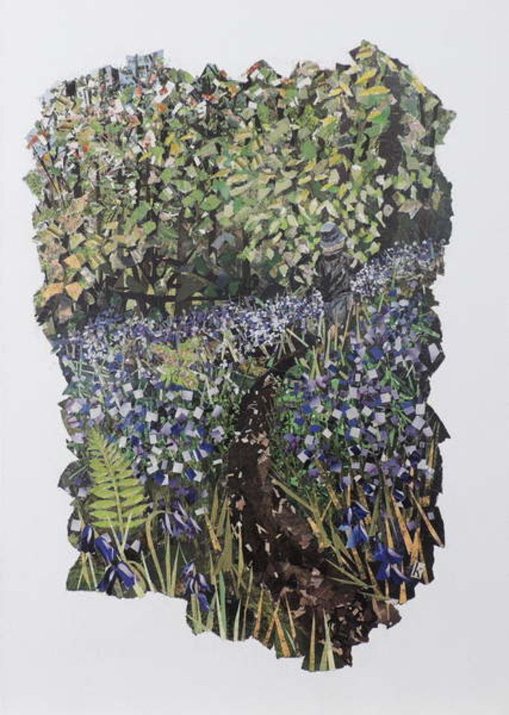 Detail of Bluebell Wood, 2017 by Kirstie Adamson