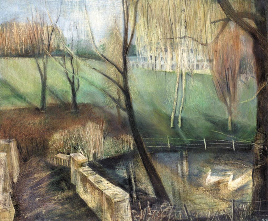 Detail of Pond, Kenwood, 2002 by Mary Kuper