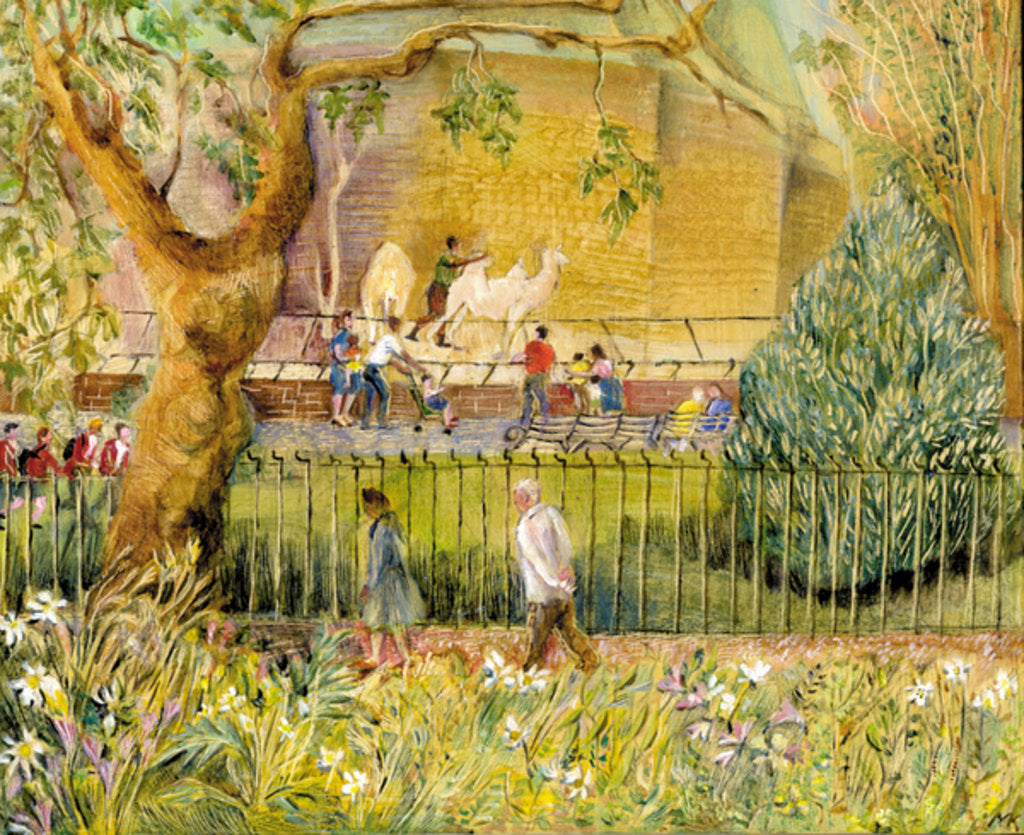 Detail of London Zoo, Camels, 2003 by Mary Kuper