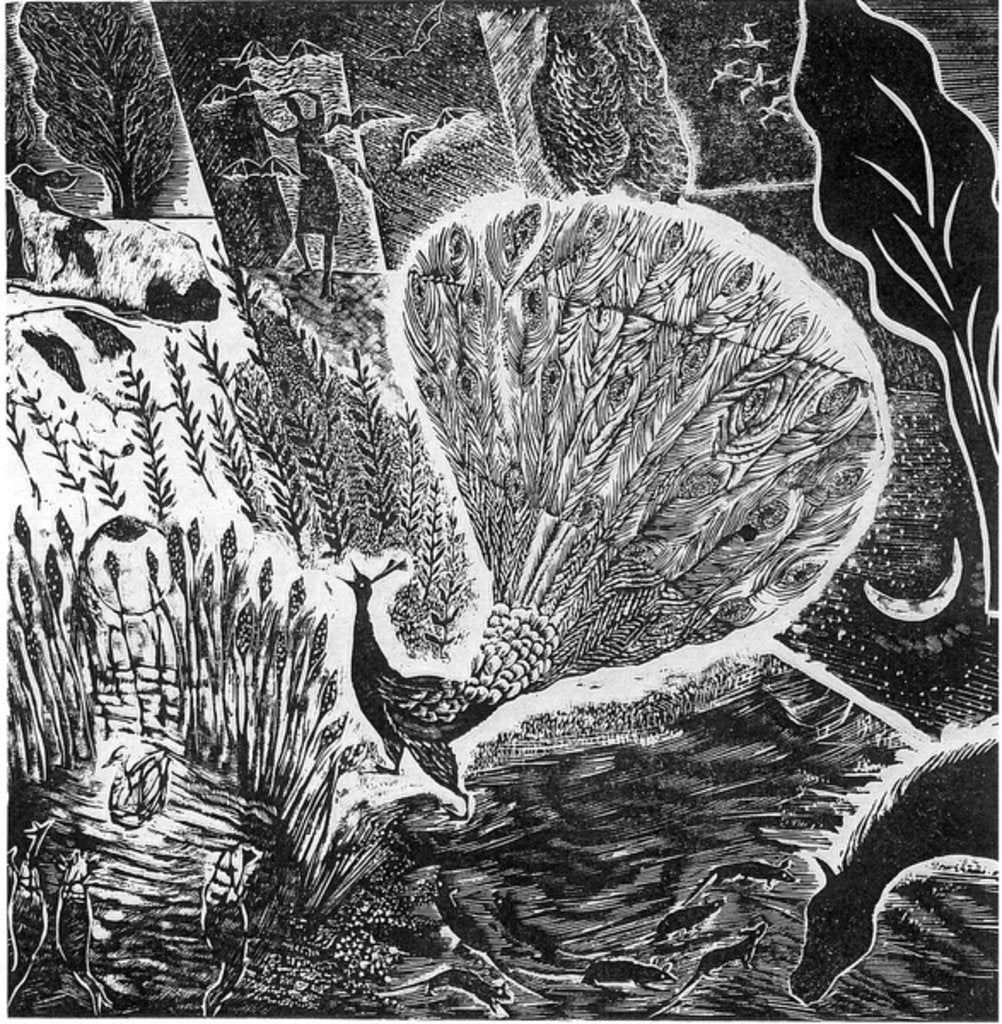 Detail of Signs of an approaching storm, 2004 by Mary Kuper