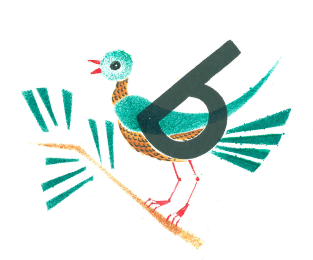 Detail of b is for bird, 2015 by Mary Kuper