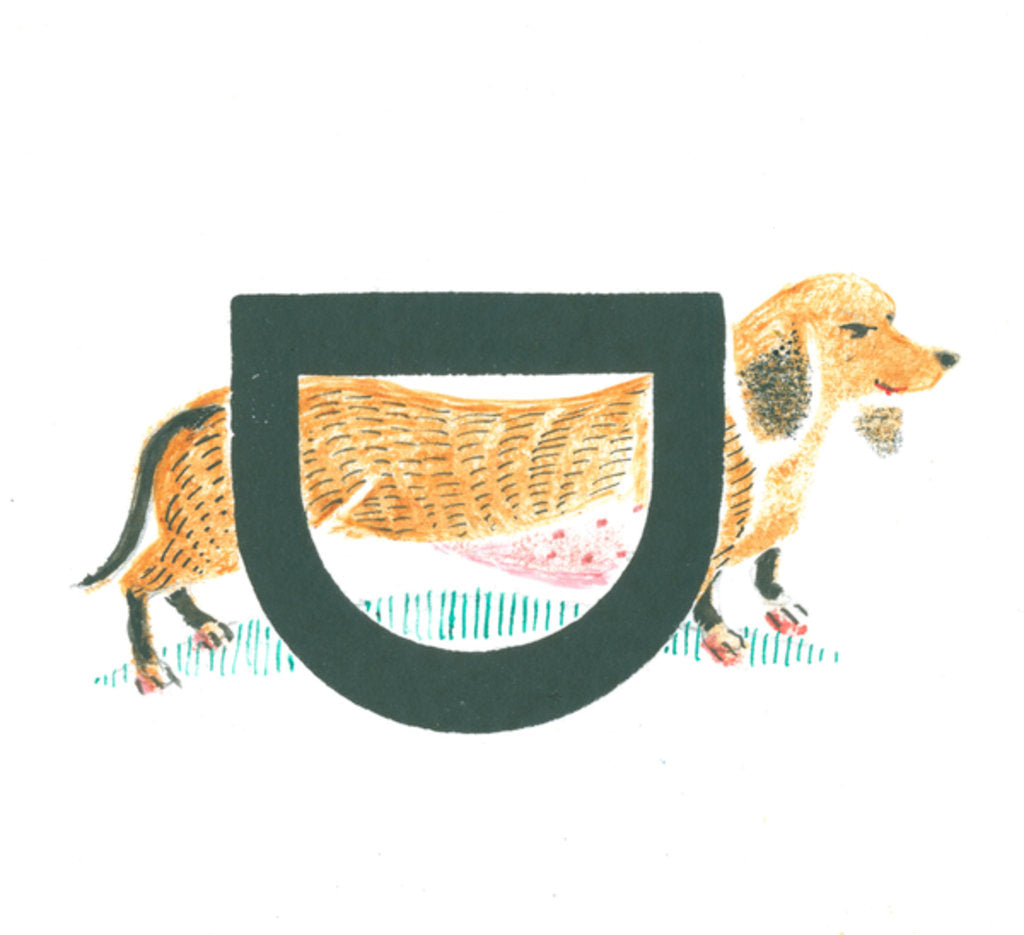 Detail of D is for dachshund, 2015 by Mary Kuper